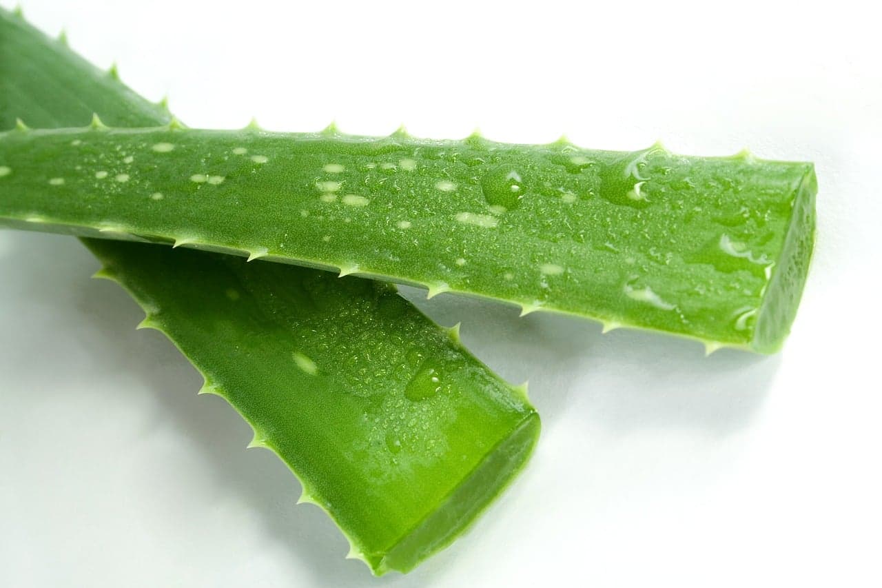 Aloe Mint Curl Enhancing Spray